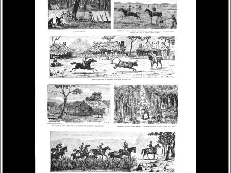 Notes In Queensland. Antique Print, Wood Engraving, The Graphic Full Page, January 29th, 1881. Discount