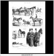 The Horse Show At The Agricultural Hall, Islington. Antique Print, Wood Engraving, The Graphic Full Page, June 17th, 1876. Sale