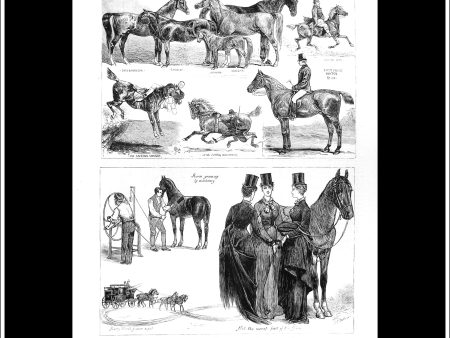 The Horse Show At The Agricultural Hall, Islington. Antique Print, Wood Engraving, The Graphic Full Page, June 17th, 1876. Sale