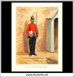 The 25th King s Own Scottish Borderers, Her Majesty s Army. Antique Print c. 1890. Hot on Sale