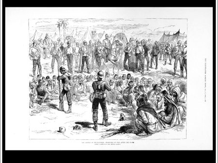 The Battle Of Tel-El-Kebir: Prisoners Of War After The Fight. Antique Print, Wood Engraving, The Illustrated London News Full Page, October 7th, 1882. Online