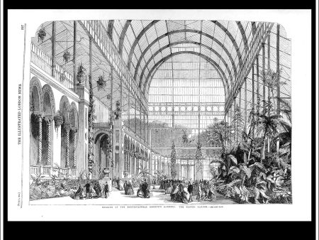 Opening Of The Horticultural Society s Garden: The Winter Garden. Antique Print, Wood Engraving, The Illustrated London News Full Page, June 8th, 1861. Hot on Sale