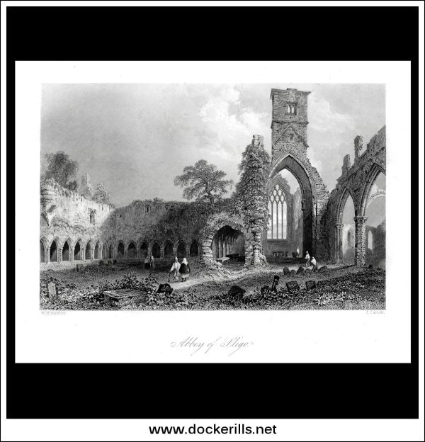 Abbey Of Sligo, Co. Sligo, Ireland. Antique Print, Steel Engraving c. 1840. Discount