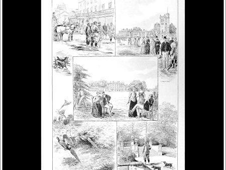 Pheasant Shooting At Orwell Park. Antique Print, Wood Engraving, The Illustrated Sporting And Dramatic News Full Page, October 13th, 1894. Online now