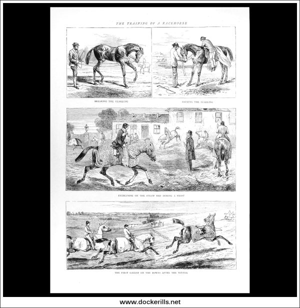 The Training Of A Racehorse. Antique Print, Wood Engraving, The Graphic Full Page, June, 1870. Online Sale