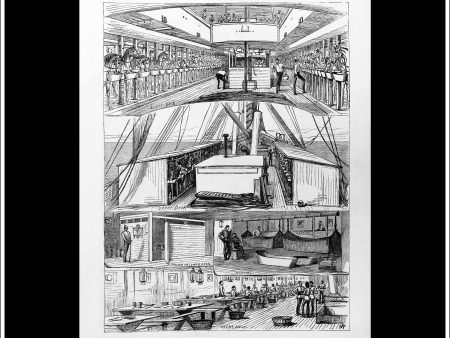 The War In Egypt: Arrangements On Board The Calabria For Conveyance Of Household Cavalry. Antique Print, Wood Engraving, The Illustrated London News Full Page, August 12th, 1882. Sale