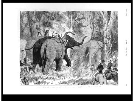 The Prince Of Wales Hunting In The Terai: Binding A Wild Elephant. Antique Print, Wood Engraving, The Graphic Full Page, April 22nd, 1876. For Sale