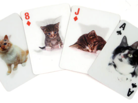 3D Animal Playing Cards Supply