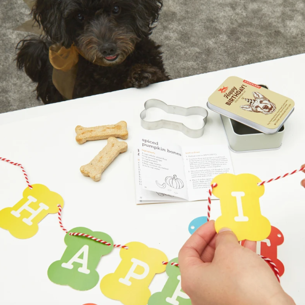 Dog Birthday Kit Online Sale