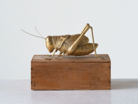 Resin Gold-Finished Cricket For Sale