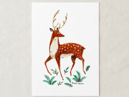 Woodland Animals Art Prints 5x7  For Discount